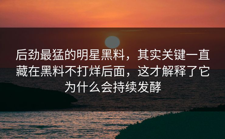 后劲最猛的明星黑料，其实关键一直藏在黑料不打烊后面，这才解释了它为什么会持续发酵
