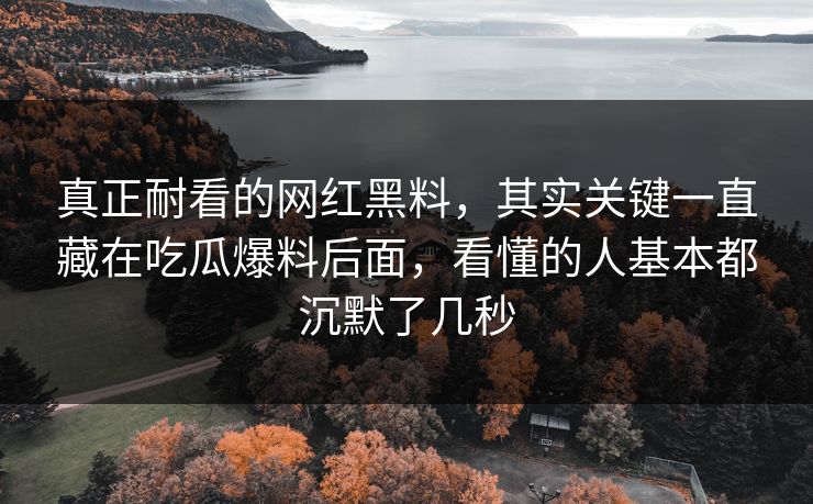 真正耐看的网红黑料，其实关键一直藏在吃瓜爆料后面，看懂的人基本都沉默了几秒