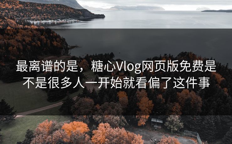 最离谱的是，糖心Vlog网页版免费是不是很多人一开始就看偏了这件事