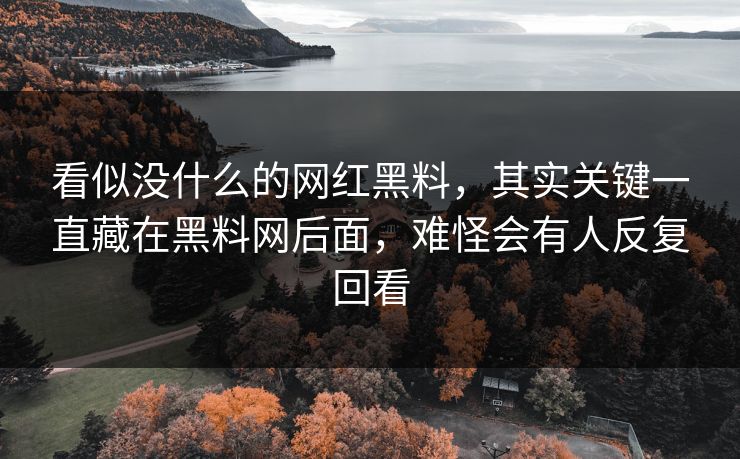 看似没什么的网红黑料，其实关键一直藏在黑料网后面，难怪会有人反复回看