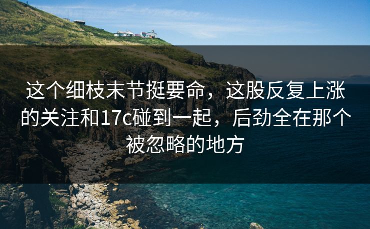这个细枝末节挺要命，这股反复上涨的关注和17c碰到一起，后劲全在那个被忽略的地方