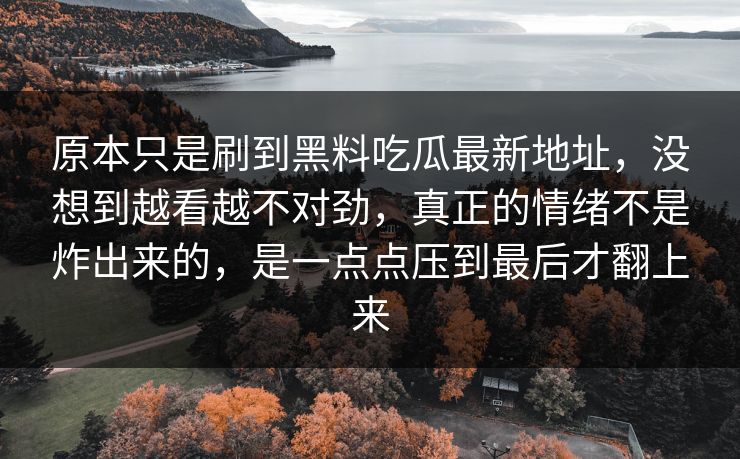 原本只是刷到黑料吃瓜最新地址，没想到越看越不对劲，真正的情绪不是炸出来的，是一点点压到最后才翻上来