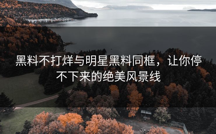 黑料不打烊与明星黑料同框，让你停不下来的绝美风景线